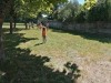 IMG_20220704_111340